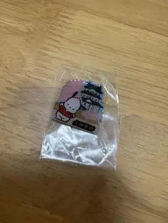 MONA様専用　ポチャッコ　小田原限定　ピンバッジ