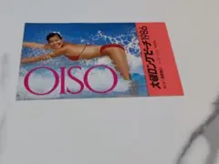 佐藤江梨子版 大磯ロングビーチ パンフレット - メルカリ