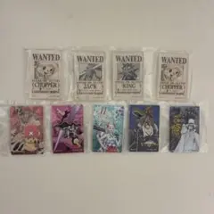 一番くじ　ワンピースEX 悪魔を宿す者達　G賞　アクリルブロック