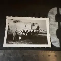 Item thumbnail for item 2e5d9ea3-3e44-46b1-bfe7-ad649e47b5ac