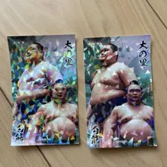 大相撲クレーン 若元春 ステッカー フェイスパック セット ホログラム