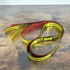 Item thumbnail for item 514efcad-f466-427e-a4c4-9a6aa663f78f