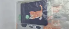 かルディ猫イラスト A5ポーチ グレー ネイビー