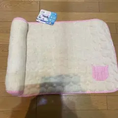 Item thumbnail for item b2b59557-4d2e-4055-8b06-9fcbc111f899