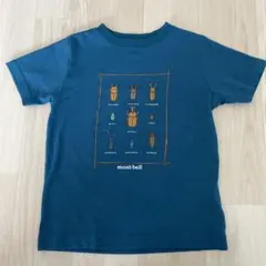 Item thumbnail for item c4b432a3-2689-4f26-bd0d-6afa743b6666