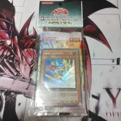 クロちゃん様 リクエスト 2点 まとめ商品