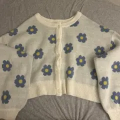 Item thumbnail for item 36187cfd-1fa1-45ed-b3da-41190fa278e7