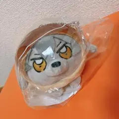 2026年最新】丸パン こうがの人気アイテム - メルカリ