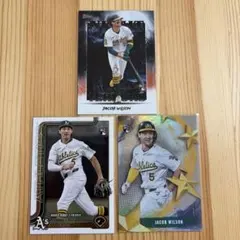 Item thumbnail for item 0532a9e3-61d7-44ae-b3d0-992b846a2fd5