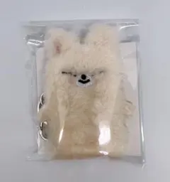 スキズ アイエン アイドル