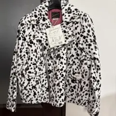 GO TO HOLLYWOOD ジャケット01