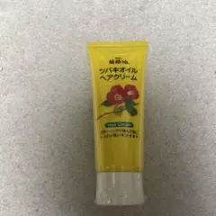 Item thumbnail for item e509e3d1-c567-4928-87ad-f7e107ec9e83