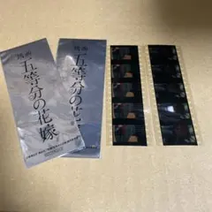 も*a様 映画 五等分の花嫁 フィルムスチル 2枚セット 中野三玖　上杉風太郎