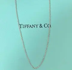 Tiffany&Co. Silver925ネックレスのサムネイル