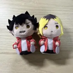 ハイキュー ぬいぐるみ 黒尾鉄朗 孤爪研磨