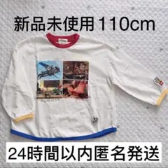 Item thumbnail for item 40278de4-1769-443d-a2d0-336de889d0c1