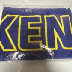 健大高崎 野球 応援グッズ