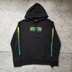 Hollister print Parka