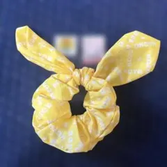 リアルピース　シュシュ　こーた