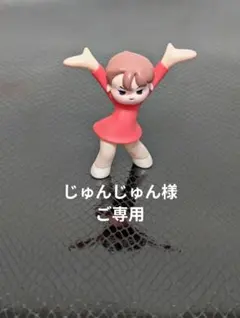 ★じゅんじゅん様ご専用★