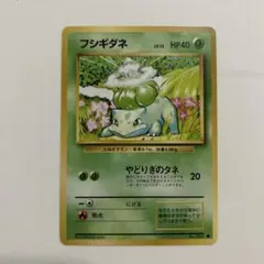 2026年最新】やどりぎのタネの人気アイテム - メルカリ