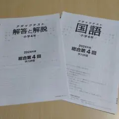 2025年最新】アタックテスト 小4の人気アイテム - メルカリ