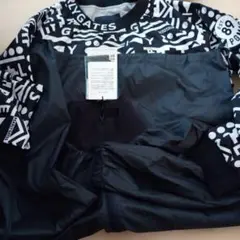 Item thumbnail for item 1e700036-c0f6-4698-89af-5309b9051588