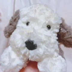 2025年最新】ジェリーキャット 犬の人気アイテム - メルカリ