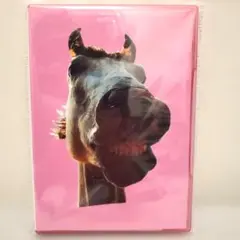 ザ・ハイロウズ/ザ★マスタング 04-05