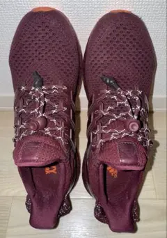 adidas ウルトラブースト IVYPARK