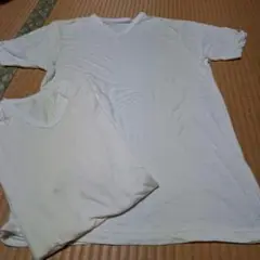 グンゼLANVIN オフホワイト Vネック Tシャツ Mサイズ2枚セット