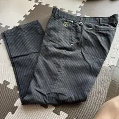 EDWIN GOLF ストライプパンツ