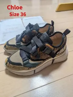 Item thumbnail for item 84d7aa1d-5c47-4e8f-9a87-c8825da2b8e1