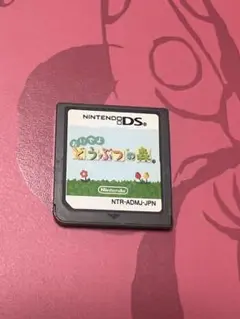 ds おいでよどうぶつの森