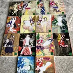 忍法帖シリーズ 」山田風太郎 30冊 角川文庫 - メルカリ