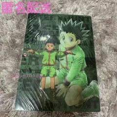 HUNTER×HUNTER ミニ下敷き　ゴン　ハンターハンター 下敷き