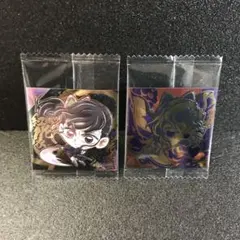 鬼滅の刃　シールウエハース14 カナヲ　しのぶ　極レア　無限レア　②