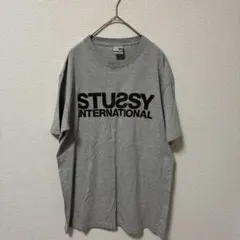 銀タグ　オールド　STUSSY ステューシー Tシャツ グレー M