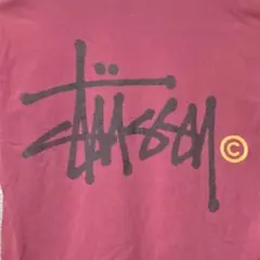 希少★80s USA製 OLD Stüssy ショーンフォントロゴ ビンテージT