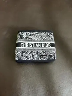 ディオールショウ サンク クルール プラン ドゥ パリ コレクション ポーチ