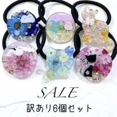 在庫SALE】訳あり6個セット。レジンヘアゴム。シマエナガ。 - メルカリ