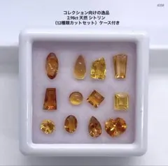 2.98ct 天然 シトリン （12種類カットセット）ケース付き