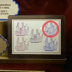 ディズニーランド　グランドフィナーレ　エコバッグ　チップ&デール　カプセルトイ