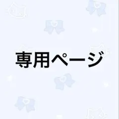 専用ページ