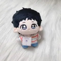 BTS ジン　10cm ぬいぐるみ　新品　マスター