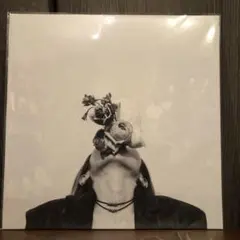 新品未開封 LP Arche/sublimated レコードの日限定 新品未開封 LP Arche/sublimated レコードの日限定 【公式通販】