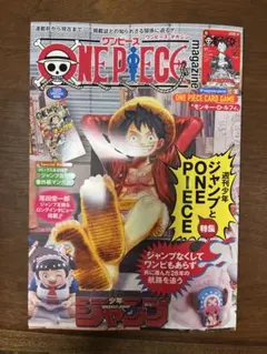 ONE PIECE magazine ワンピースマガジン 20号 カード付録付き
