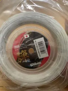 Item thumbnail for item 317b116a-2d8d-43ff-aca6-401b9c55c4e8