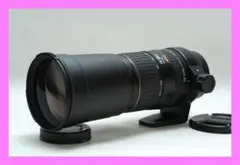 2026年最新】sigma apo 170-500mmの人気アイテム - メルカリ