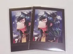 あくねこ バスティン ぱしゃこれ